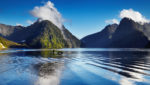 New Zealand. Credit: Dmitry Pichugin/Shutterstock.com
