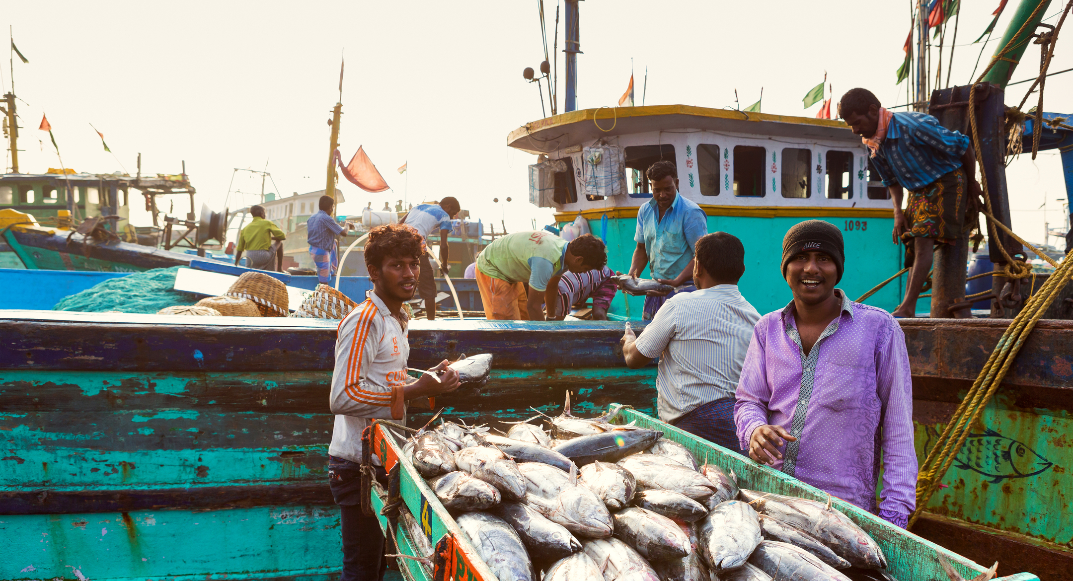India to oppose fishing subsidy curbs at WTO meeting - Undercurrent News