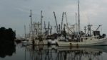 Shrimp boats docked in North Carolina. Photograph by John Buie.