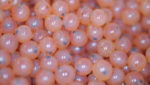 Salmon eggs delivered to Scottish Sea Farms' new hatchery