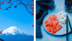 Mt Fuji and salmon