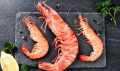 Sykes Seafood shrimp