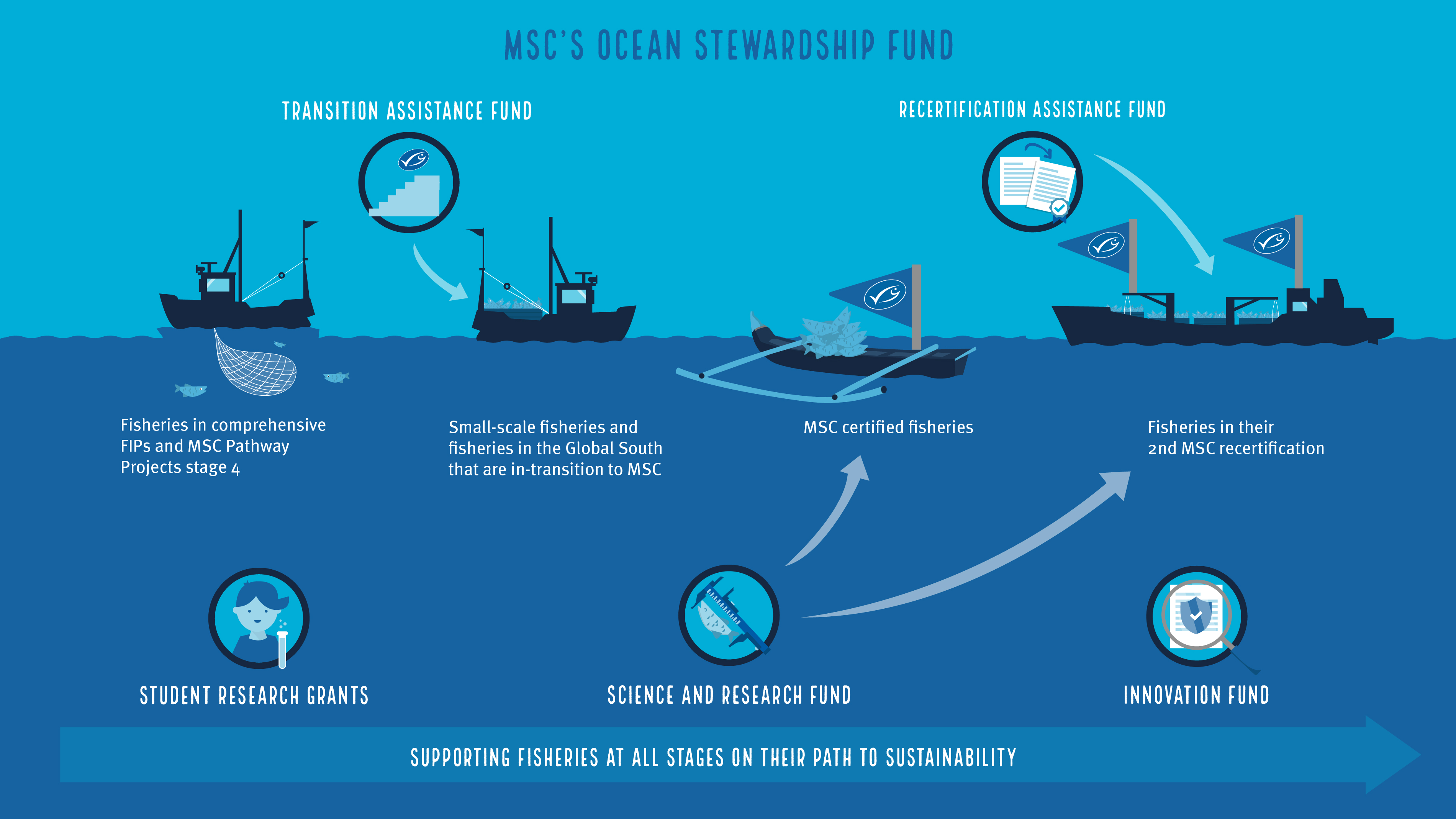 MSC offers grants for global sustainable fishing projects