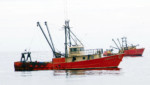 Credit: Fleet Fisheries scallop vessel