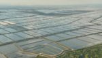  Aerial view of several Ecuadorian shrimp farms.  Credit: Undercurrent News sources