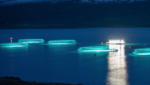 Salmon farms in the east of Iceland owned by Ice Fish Farm. Credit: Ice Fish Farm