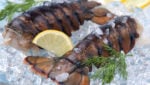 Raw lobster tails on ice. Credit Fisher King Seafoods