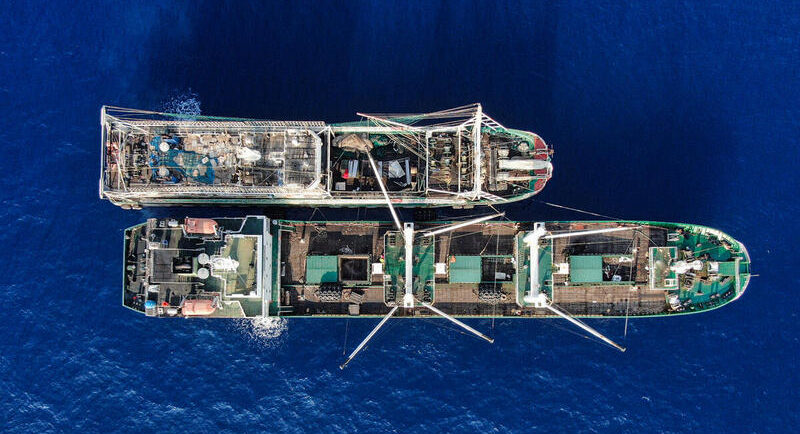 China to apply squid fishing moratorium in three oceans - Undercurrent News