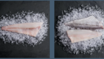 Cod and haddock from Wildwaters Seafood. Credit: Wildwaters' website