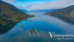 Salmon farms in Chile owned by Productos del Mar Ventisqueros. Credit: Ventisqueros