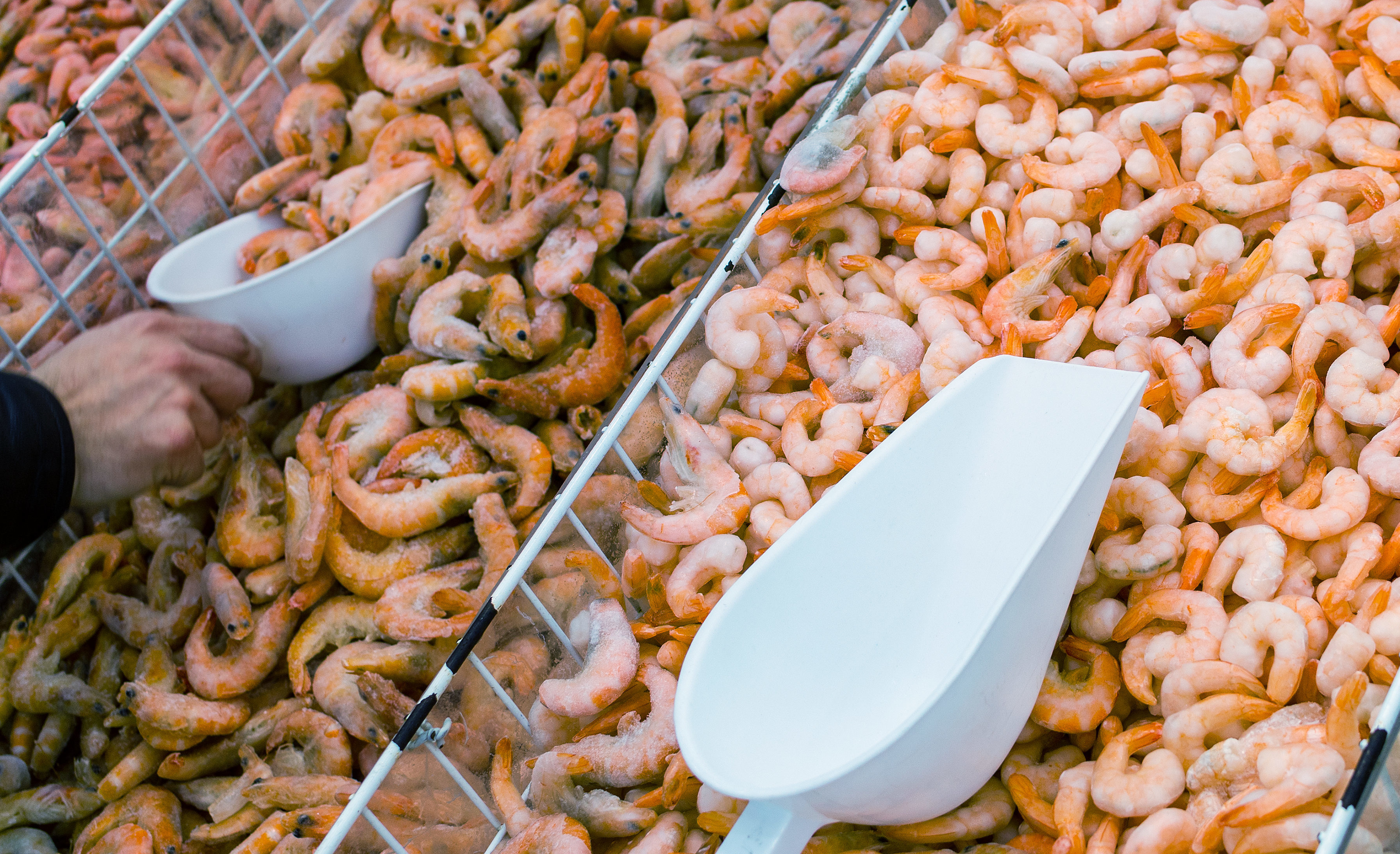 US blocks some Indian, Chinese shrimp imports due to drug residue ...
