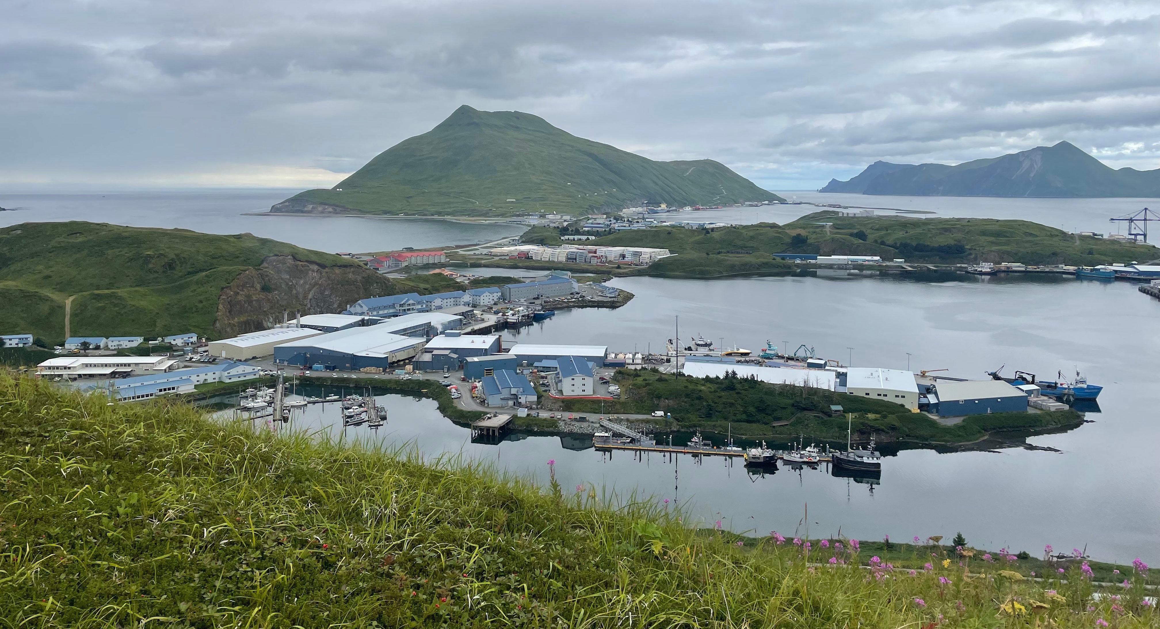 Seafood processors and green mountains in Dutch Harbor, Alaska