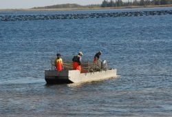 An oyster kingdom in New Brunswick, Canada